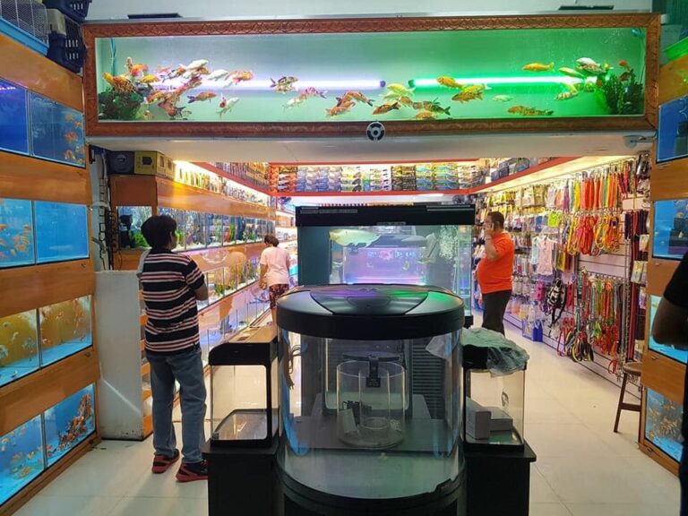 Fish pet shop