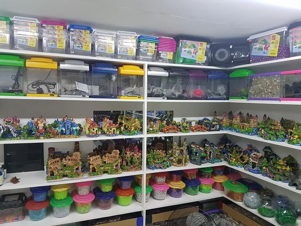 Aquarium decorations, fish tanks, and aquascaping accessories displayed inside a pet shop