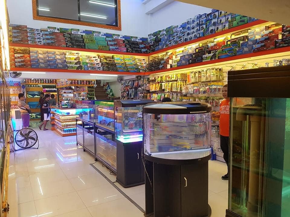 Interior of a pet shop with aquariums, fish tanks, pet supplies, and accessories available for sale