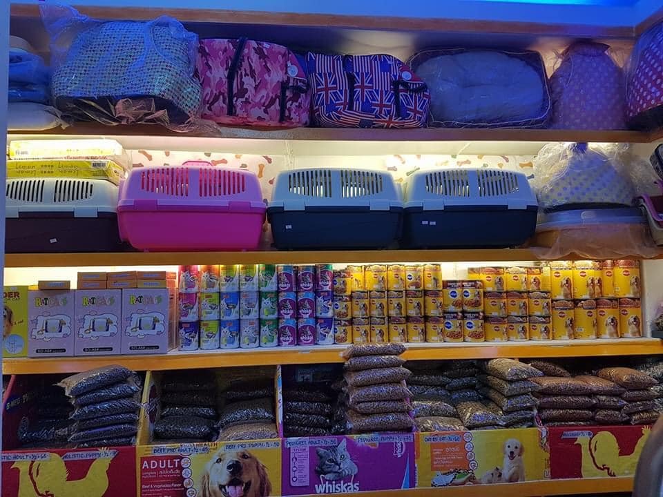 Dog and cat supplies including pet carriers, food products, and bedding displayed on store shelves