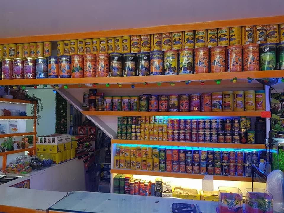 Aquarium fish food products and fish feed containers displayed on shelves in a pet shop