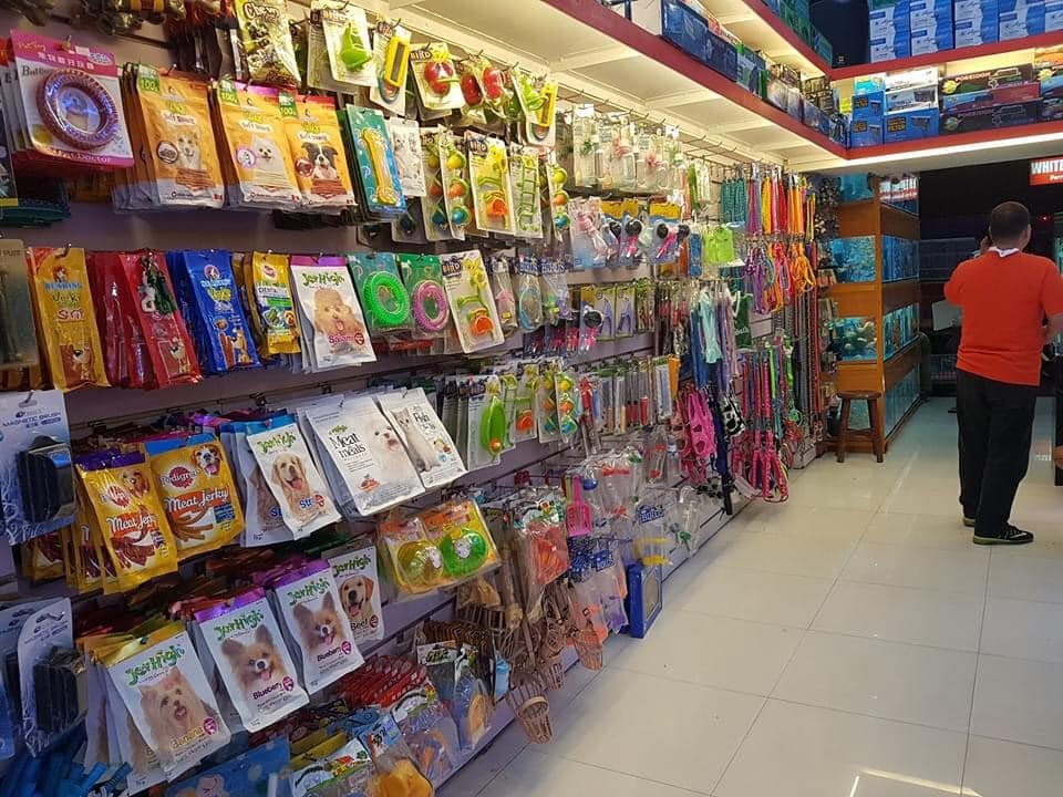 Pet accessories and supplies including dog treats, chew toys, leashes, and grooming items displayed in a pet shop