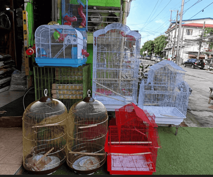 Bird cages and small animal enclosures for sale outside a pet shop, including metal cages in different sizes and colors
