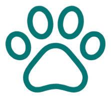 General Pet Supplies