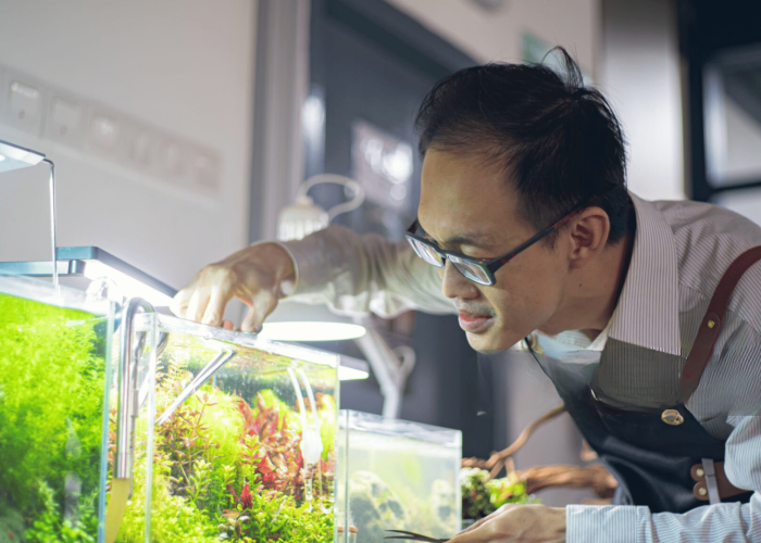 Local Experts Fish experts